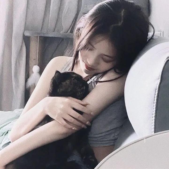 大独裁者秘史 封面